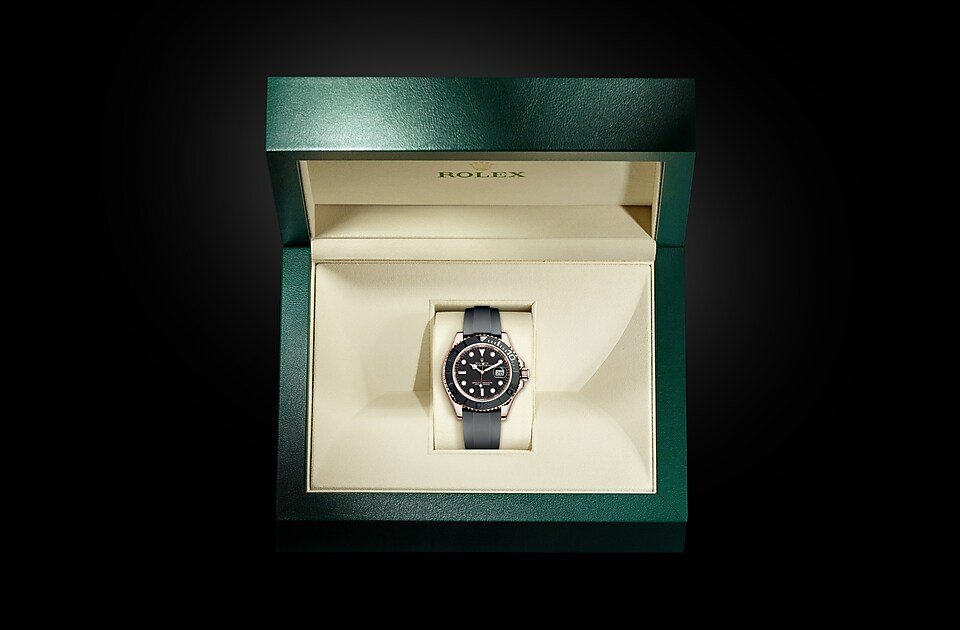 YACHT MASTER OR ROSE