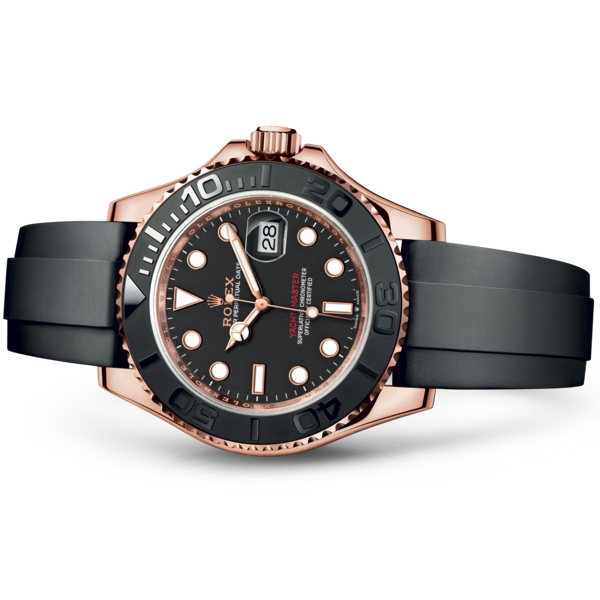 YACHT MASTER OR ROSE