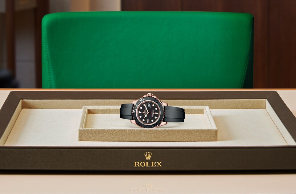 YACHT MASTER OR ROSE
